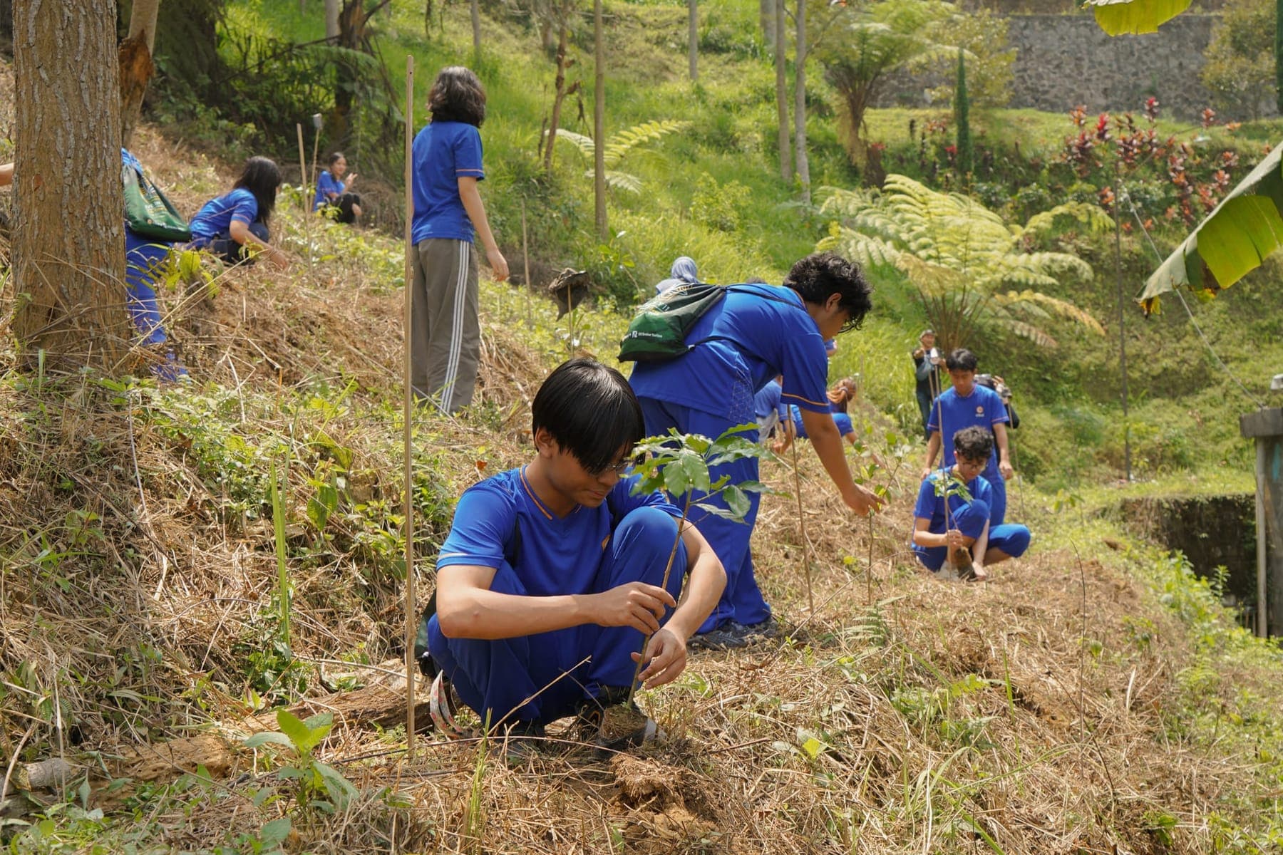 Peserta menanam bibit pohon di lereng bukit berhutan hijau