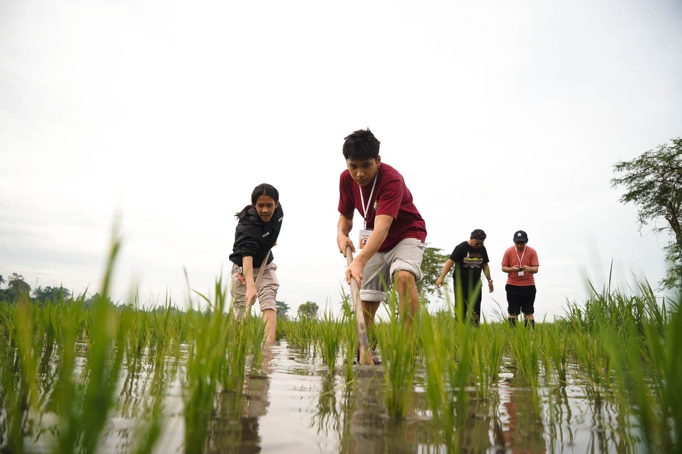Siswa berdiri di pematang sawah bersama warga setempat sambil mendengarkan penjelasan